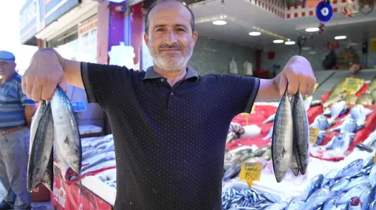 Karadeniz'de palamut balığı bereketi