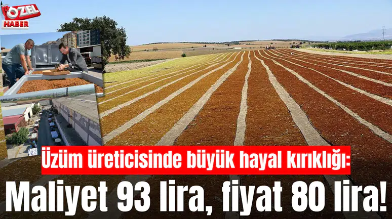 Üzüm üreticisinde büyük hayal kırıklığı: Maliyet 93 lira, fiyat 80 lira!