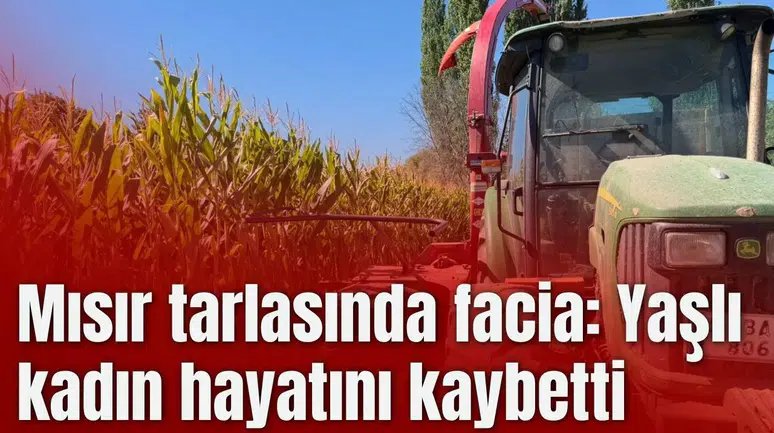 Mısır tarlasında facia: Yaşlı kadın hayatını kaybetti