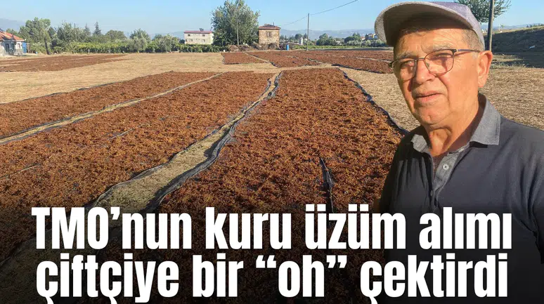 TMO’nun kuru üzüm alımı çiftçiye bir “oh” çekdirdi