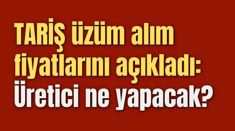 TARİŞ kuru üzüm alım fiyatlarını açıkladı