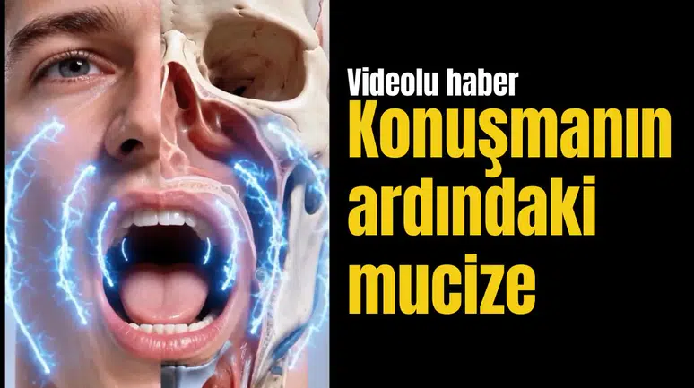 Konuşmanın ardındaki mucize: Bir kelimeyi söylemek için birçok organımız birlikte çalışıyor