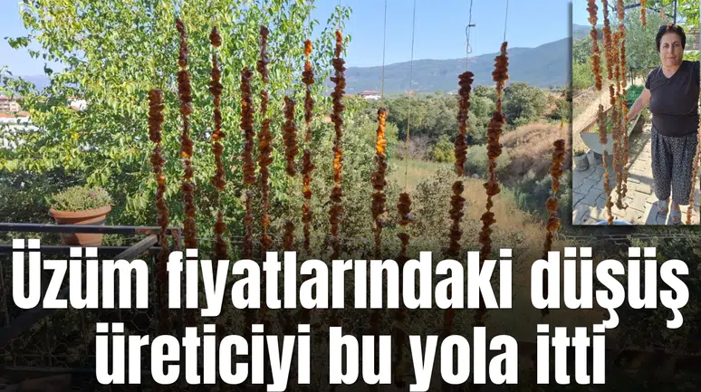Üzüm para etmedi: Üretici bu yöne kaydı