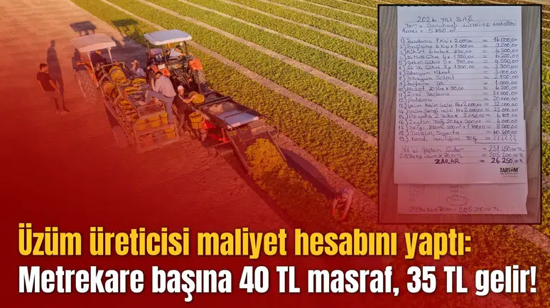 Üzüm üreticisi maliyet hesabını yaptı: Metrekare başına 40 TL masraf, 35 TL gelir