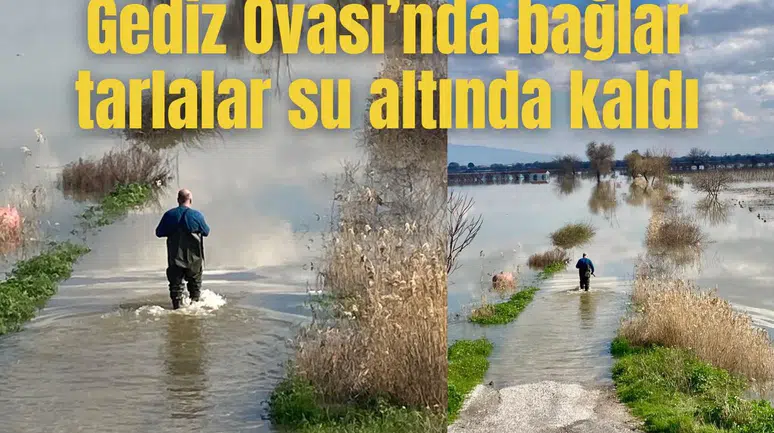 Gediz Ovası’nda bağlar tarlalar su altında kaldı