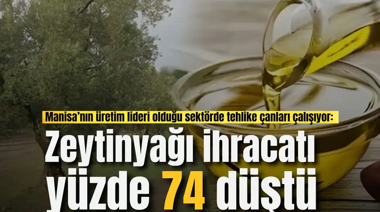 Manisa’nın üretim lideri olduğu sektörde tehlike çanları çalışıyor: Zeytinyağı ihracatı yüzde 74 düştü