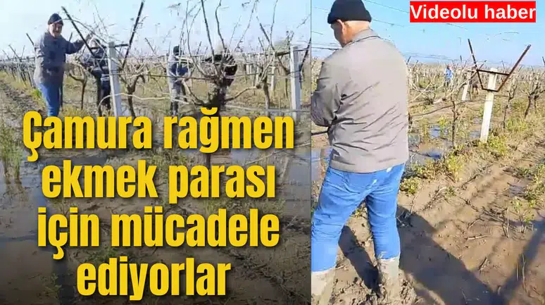 Çamura rağmen ekmek parası için mücadele ediyorlar
