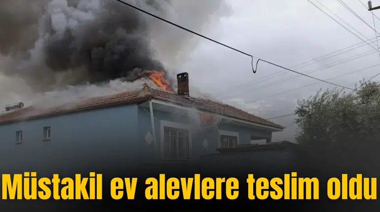 Müstakil ev alevlere teslim oldu