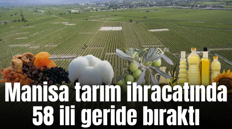 Manisa tarım ihracatında 58 illi geride bıraktı