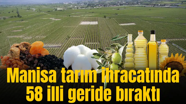 Manisa tarım ihracatında 58 illi geride bıraktı