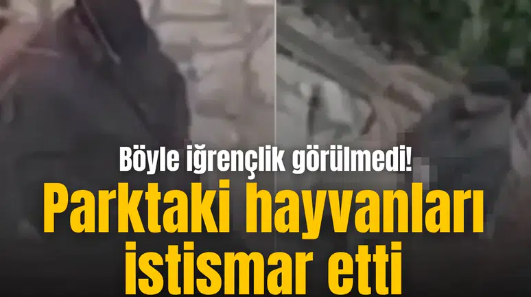 Böyle iğrençlik görülmedi! Parktaki hayvanları istismar etti