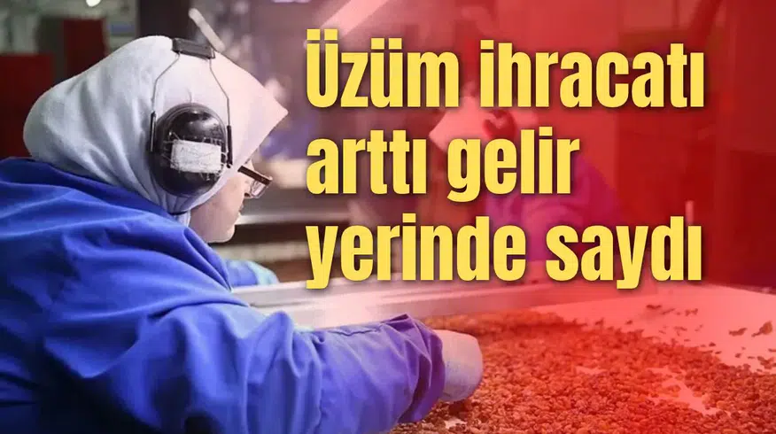 Üzüm ihracatı arttı gelir yerinde saydı