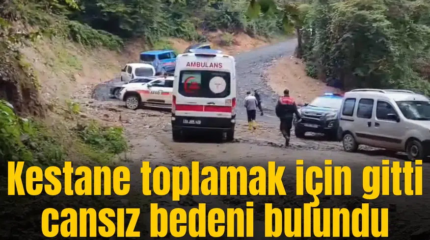 Kestane toplamak için gitti cansız bedeni bulundu