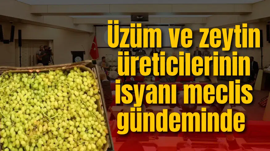 Üzüm ve zeytin üreticilerinin isyanı meclis gündeminde