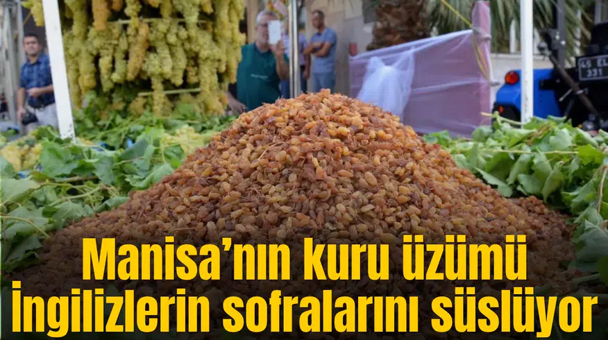 Manisa’nın kuru üzümü İngilizlerin sofralarını süslüyor