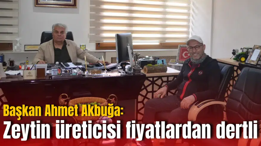 Başkan Ahmet Akbuğa: Zeytin üreticisi fiyatlardan dertli