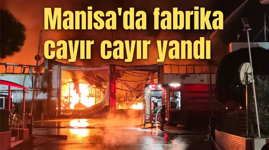 Manisa'da fabrika cayır cayır yandı