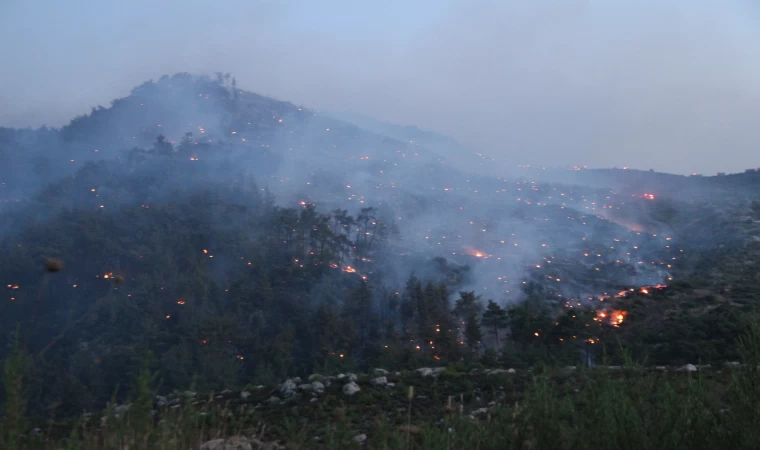 İzmir'de Büyük Yangın: Müdahaleler Sürüyor