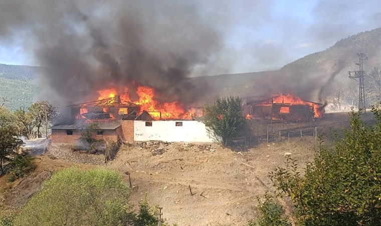 Köy Yangınında 7 Ev Alevlere Teslim Oldu