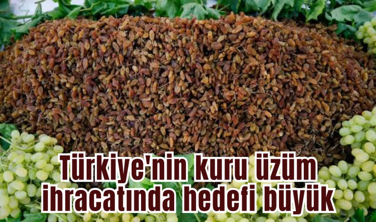 Türkiye'de kuru üzüm ihracatında hedef büyük