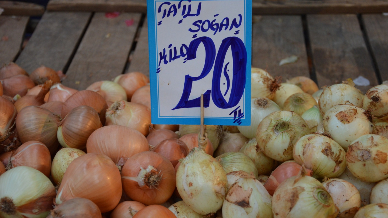 25 liraya çıkan soğanın fiyatı hasatla düştü