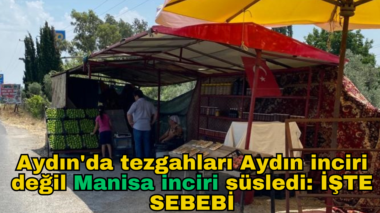 Aydın'da tezgahları Aydın inciri değil Manisa inciri süsledi: İŞTE SEBEBİ