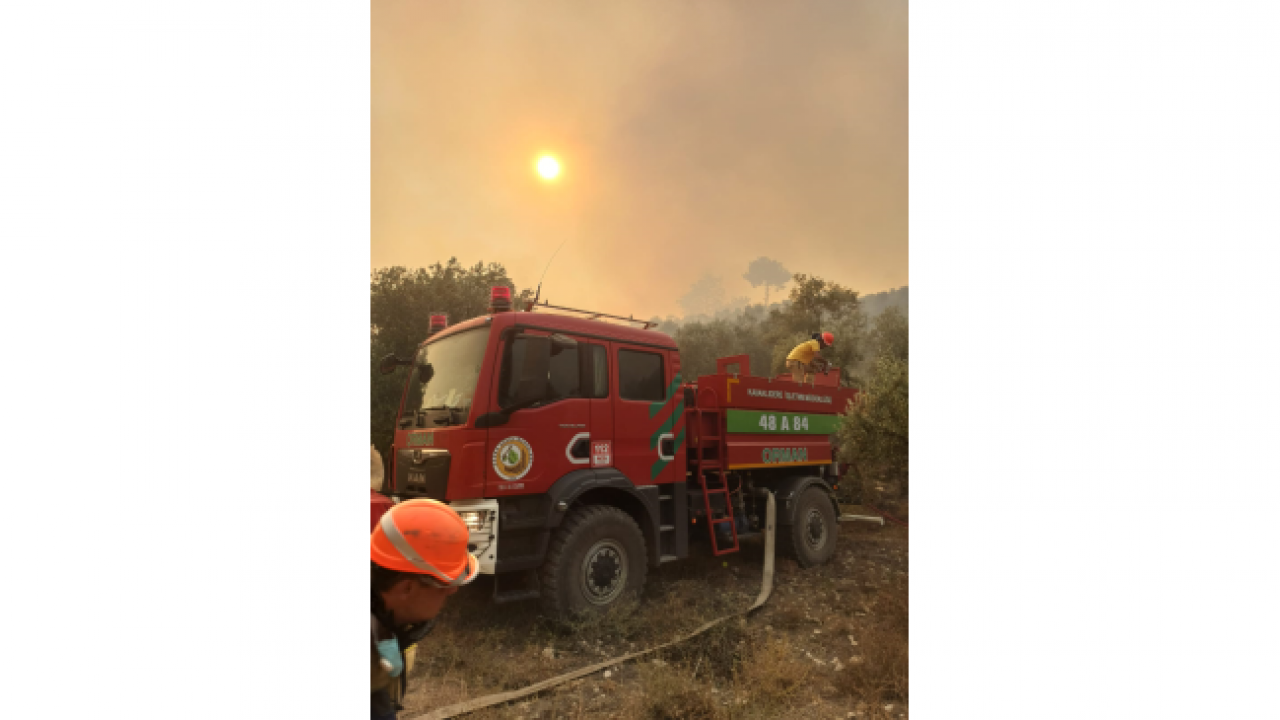 Bodrum'da Orman Yangını: ekipler havadan ve karadan müdahale ediyor