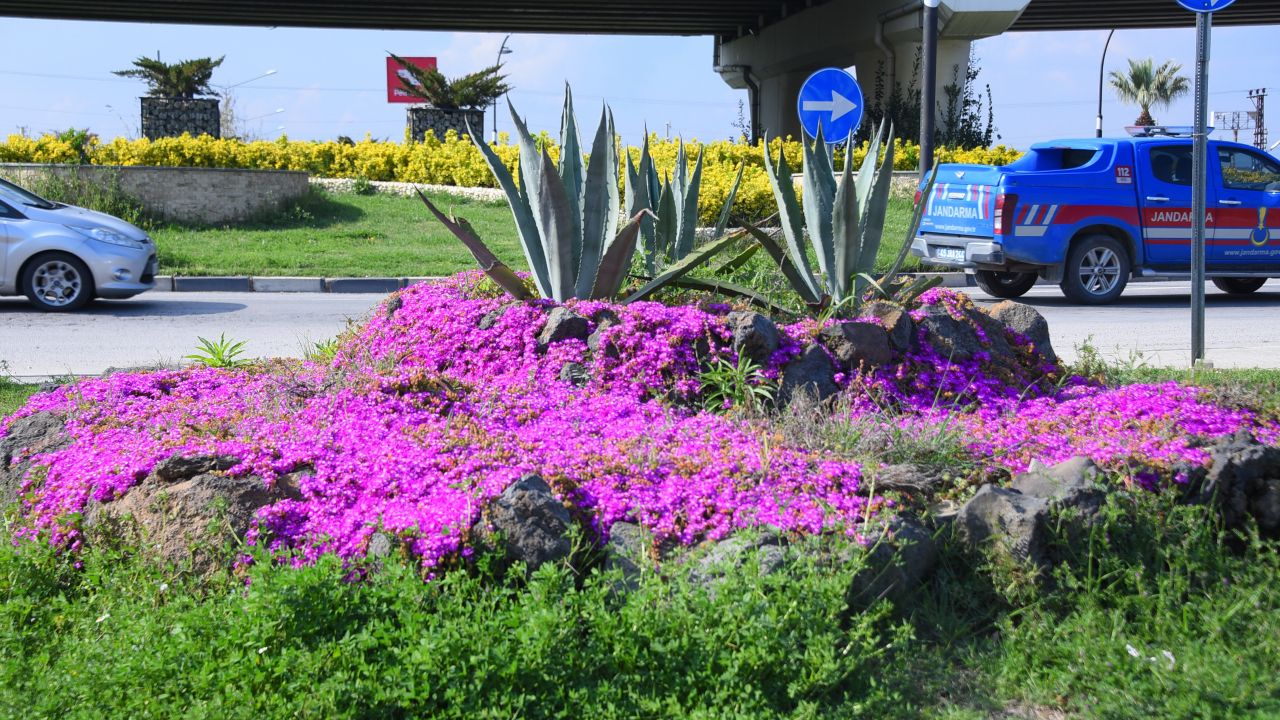 Salihli’de çiçekler rengarenk görüntüleriyle çevreye güzellik katıyor