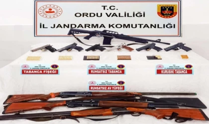 Jandarma'dan silah kaçakçılarına yönelik operasyon