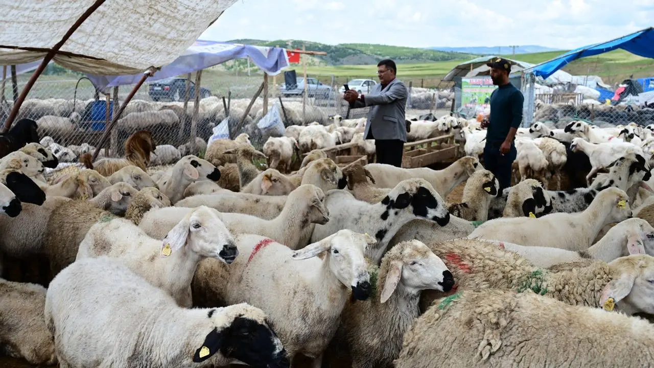 Kurban alırken buna dikkat etmeyen yandı 2