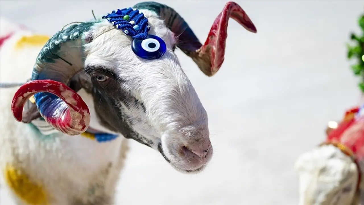 Kurban alırken buna dikkat etmeyen yandı 3