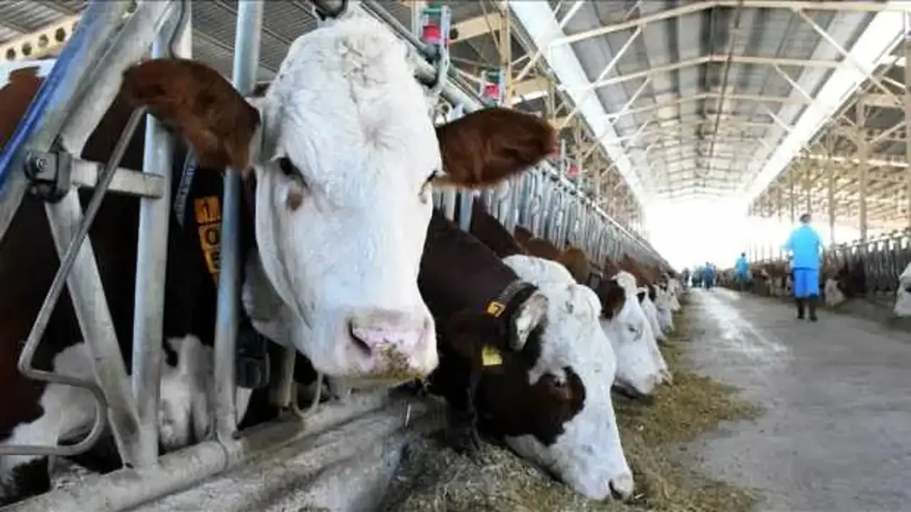 Kurban Bayramı cezaları belli oldu 2