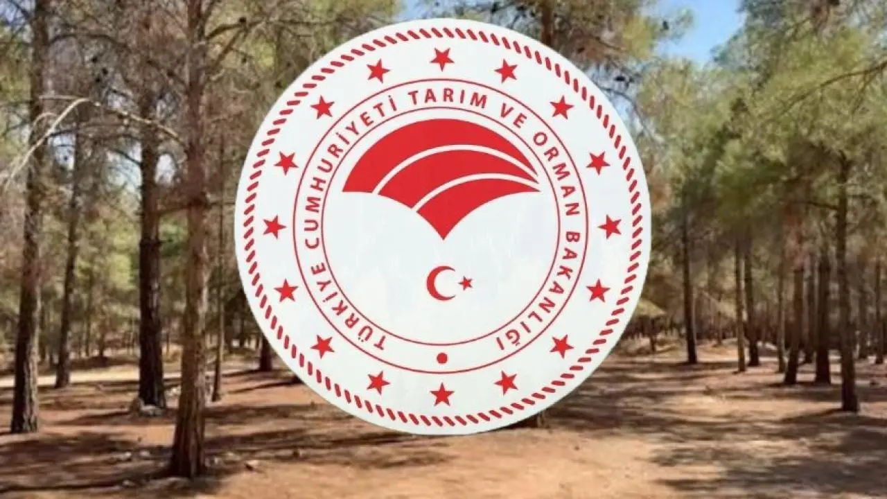 Tarım ve Orman Bakanlığı 1.874 personel alımı başladı 4