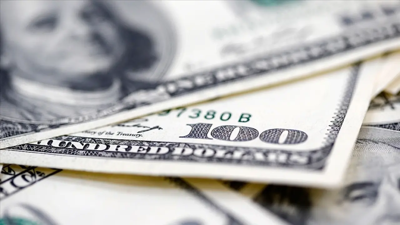 Ülkesine dönene 37 bin dolar ödenecek 3