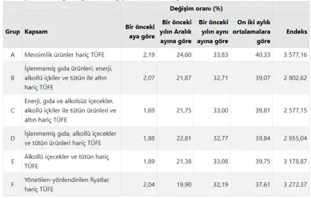 Enflasyon ağustos ayında yüzde 2,04 arttı, yıllık bazda yüzde 32,95 oldu