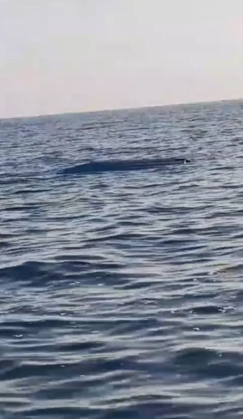 Karadeniz kıyılarında bir insansız deniz aracı şüphesi daha