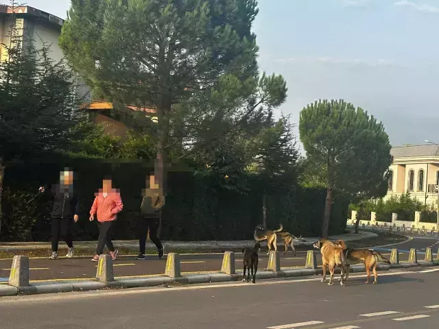Çekmeköy Belediyesi'nin duyarsızlığı ilçe halkını isyan ettirdi