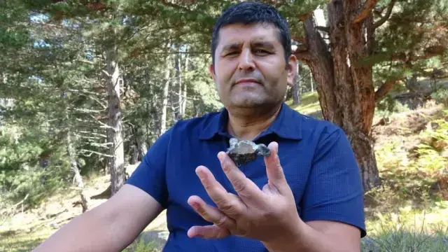 Mantar toplarken göktaşı buldu