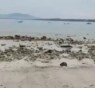 Filipinler'de 7.4'lük deprem! Tsunami uyarısı yapıldı