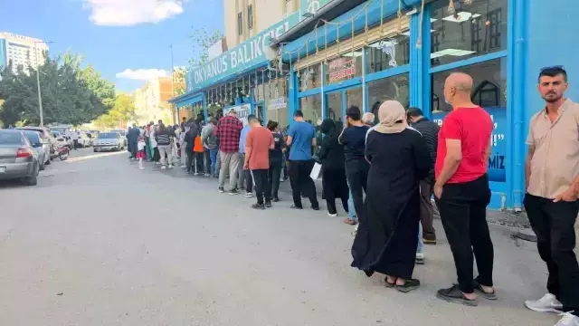 Şanlıurfa'da Ucuz Hamsi Kampanyası Vatandaşı Sevindirdi