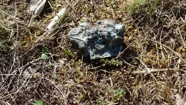 Mantar toplarken göktaşı buldu