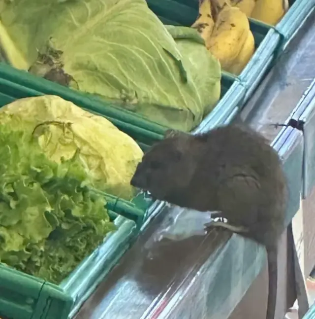 3 harfli market zincirinde skandal görüntü