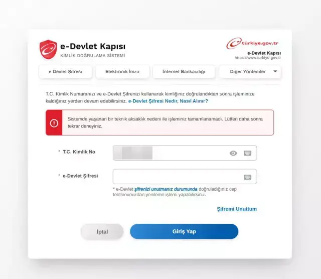e-Devlet'e neden giriş yapılamıyor?