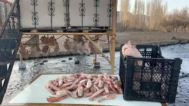 Bölge halkının yüzünü güldüren dönem geldi: Tanesini 6 bin liraya satıyorlar