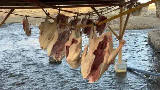 Bölge halkının yüzünü güldüren dönem geldi: Tanesini 6 bin liraya satıyorlar