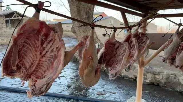 Bölge halkının yüzünü güldüren dönem geldi: Tanesini 6 bin liraya satıyorlar