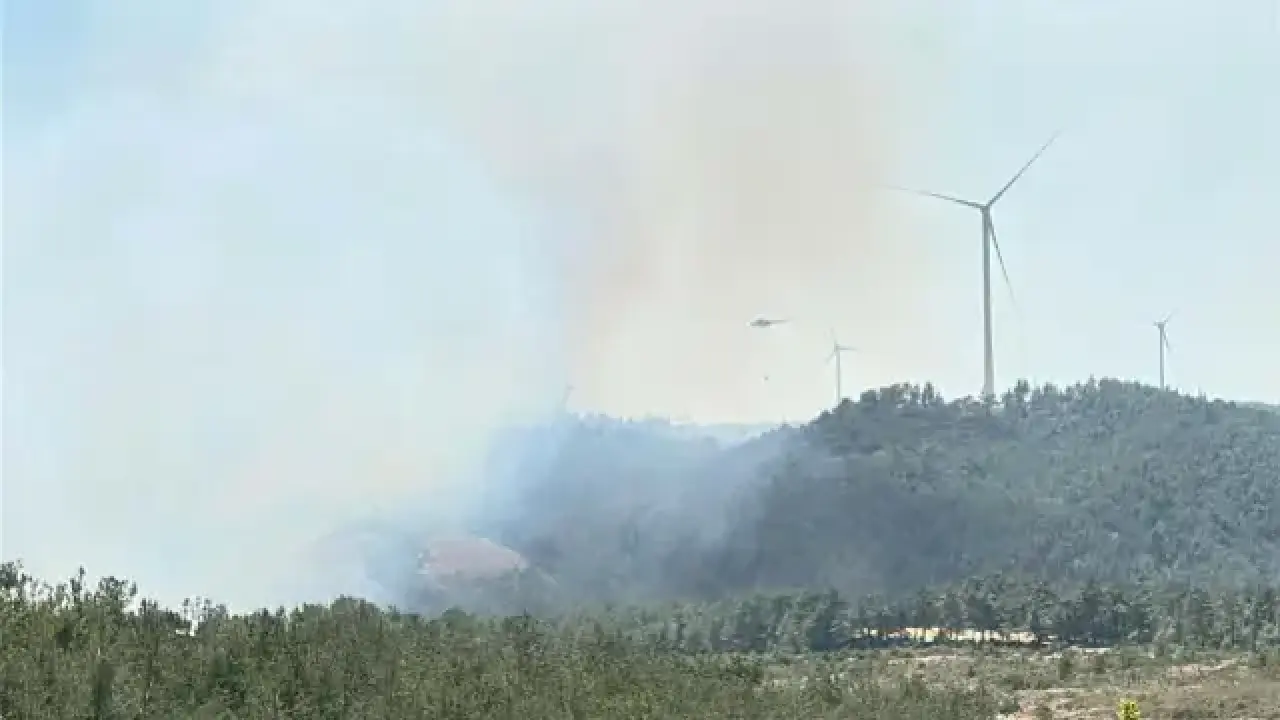 Çanakkale'de yine orman yangını! Kaz Dağları tehdit altında
