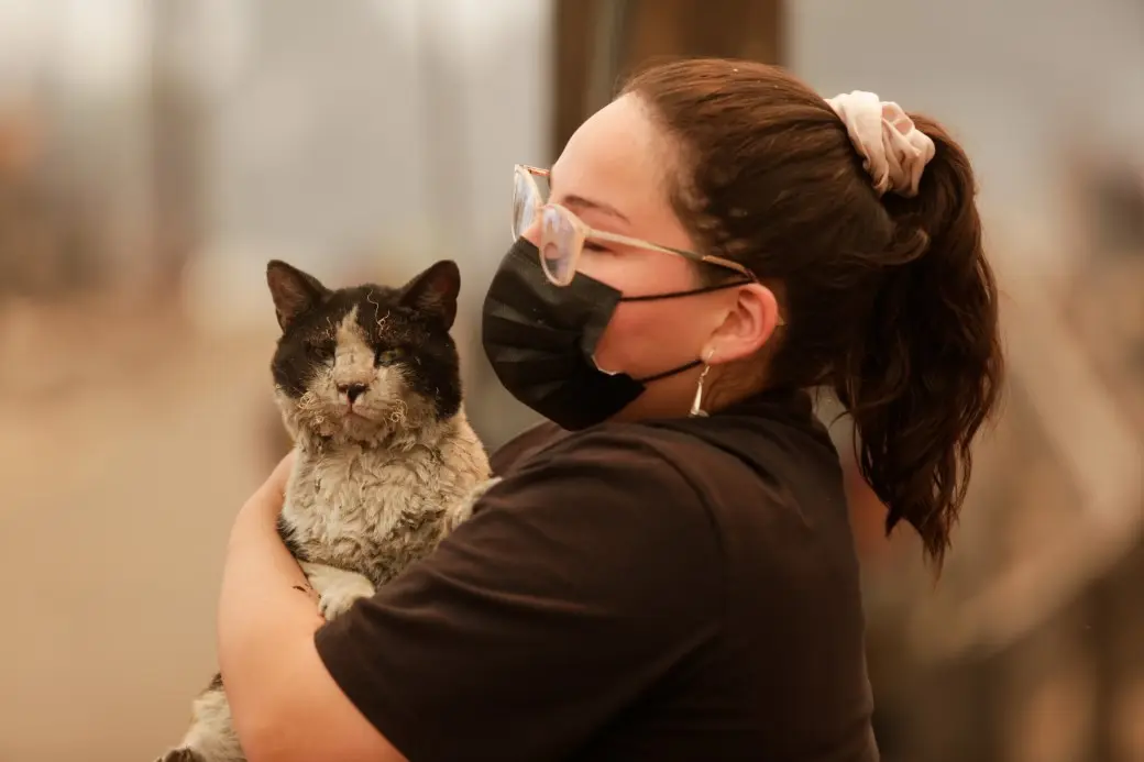 Şili’de orman yangını: 18 ölü