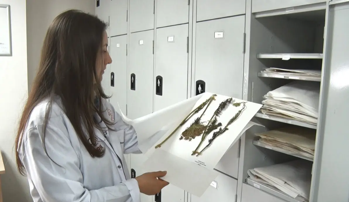 İran gerilimi sonrası gözler gıda güvenliğine çevrildi: Türkiye gen bankalarıyla hazırlıklı